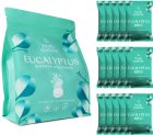 Body Restore Eucalyptus & Mint Shower Steamers tablety do sprchy