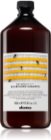 Davines Naturaltech Nourishing champô para couro cabeludo desidratado e cabelos quebradiços e secos