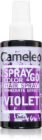 Delia Cosmetics Cameleo Spray & Go Tonisierendes Haarspray