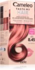 Delia Cosmetics Cameleo Taste My Hair semi-permanent hair dye