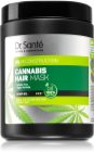 Dr. Santé Cannabis Regenerierende Maske für beschädigtes Haar