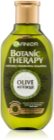 Garnier Botanic Therapy Olive vyživující šampon pro suché a poškozené vlasy