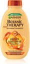 Garnier Botanic Therapy Honey & Propolis αποκαταστατικό σαμπουάν για κατεστραμμένα μαλλιά