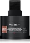 Goldwell Dualsenses Color Revive cipria colorata per capelli tinti e con mèches