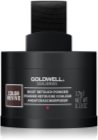 Goldwell Dualsenses Color Revive barevný pudr pro barvené a melírované vlasy