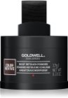 Goldwell Dualsenses Color Revive Color Puder für gefärbtes Haar oder Strähnen