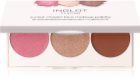 Inglot Face Palette Highlighter, Bronzer and Blusher