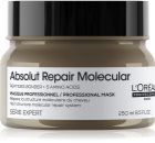 L’Oréal Professionnel Serie Expert Absolut Repair Molecular Matus dziļi stiprinoša maska