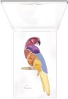 PUPA Milano Parrot paleta očních stínů