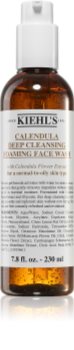 Calendula Deep Cleansing Foaming Face Wash
