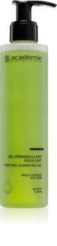 Académie Scientifique de Beauté Pure gel purifiant en profondeur pour peaux grasses