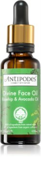 Antipodes Divine Face Oil Rosehip & Avocado Oil sérum protector para las primeras señales de envejecimiento de la piel