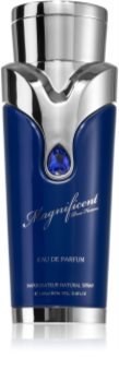 Armaf Magnificent Blue Pour Homme parfumovaná voda pre mužov