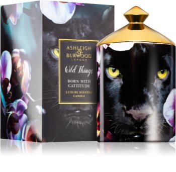 Ashleigh & Burwood London Wild Things Born With Cattitude scented candle
