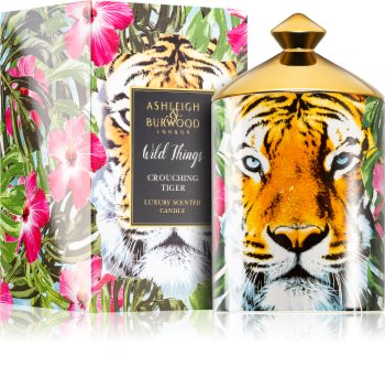 Ashleigh & Burwood London Wild Things Crouching Tiger Duftkerze