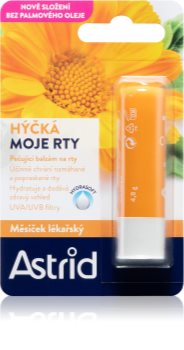 Astrid Lip Care regenerirajući balzam za usne s ljekovitim nevenom