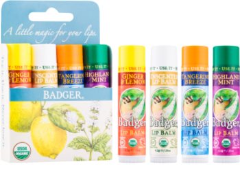 Badger Classic Blue coffret cosmétique I. pour femme