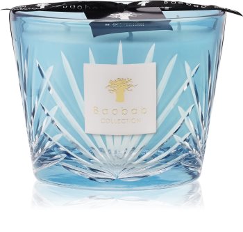 Baobab Palm West Palm scented candle