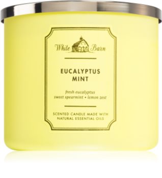 Bath & Body Works Eucalyptus Mint vonná sviečka I.