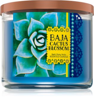 Bath & Body Works Baja Cactus Blossom vonná svíčka