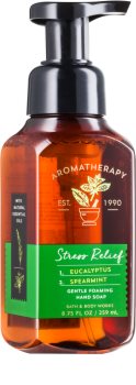Bath & Body Works Stress Relief Eukalyptus Spearmint Foaming Hand Soap