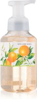 Bath & Body Works Sandalwood & Citrus Foaming Hand Soap