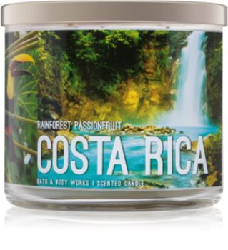 bath and body works passion candle