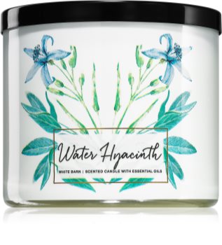Bath & Body Works Water Hyacinth illatos gyertya