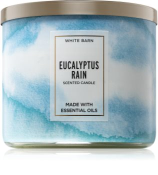 eucalyptus rain bath and body works candle