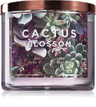 Bath & Body Works Cactus Blossom illatos gyertya