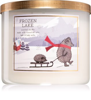 Bath & Body Works Frozen Lake geurkaars