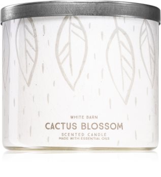 Bath & Body Works Cactus Blossom vonná sviečka I.