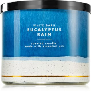 eucalyptus rain bath and body works candle