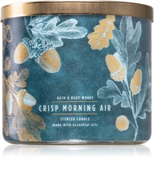 bath and body works crisp morning air candle