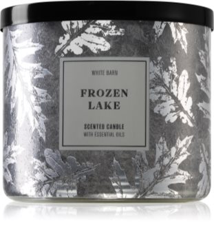 Bath & Body Works Frozen Lake illatos gyertya II.