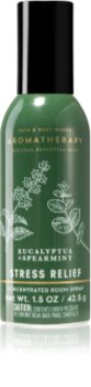 Bath & Body Works Eucalyptus Spearmint raumspray