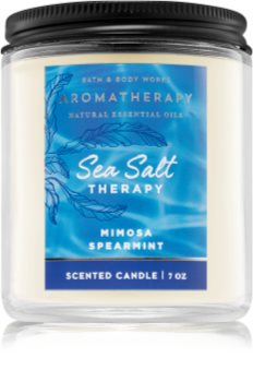 bath and body works sea salt candle