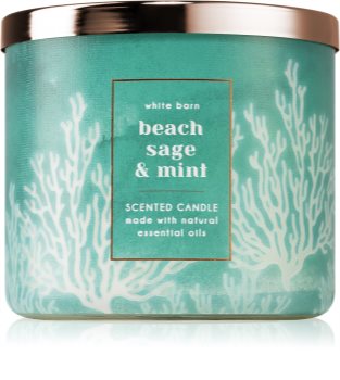 Bath & Body Works Beach Sage & Mint vela perfumada
