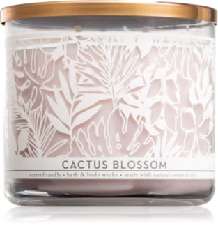 Bath & Body Works Cactus Blossom ароматическая свеча I.
