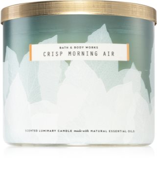 bath and body works crisp morning air candle