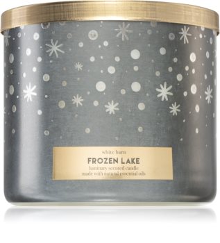 Bath & Body Works Frozen Lake bougie parfumée I.