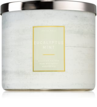 bath and body works eucalyptus mint candle