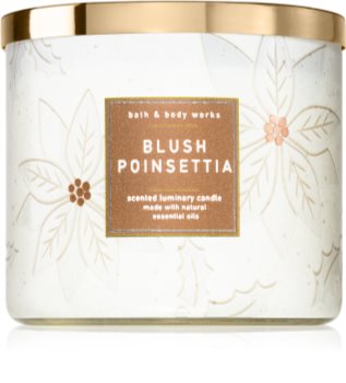 Bath & Body Works Blush Poinsettia Tuoksukynttilä