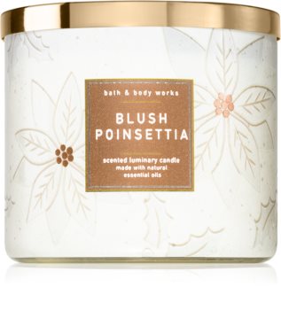 Bath & Body Works Blush Poinsettia vonná sviečka
