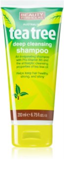 Beauty Formulas Tea Tree tiefenreinigendes Shampoo