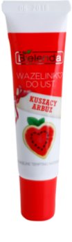 Bielenda Tempting Watermelon Nude Matt Vaseline für Lippen