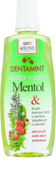 Bione Cosmetics Dentamint apa de gura