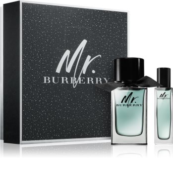 set mr burberry