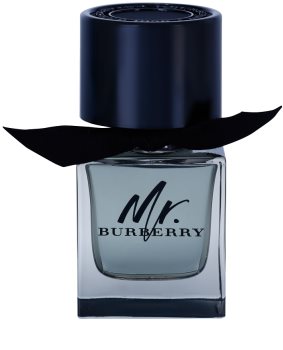 Burberry Mr. Burberry toaletna voda za moške