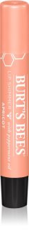 Burt’s Bees Lip Shimmer sijaj za ustnice